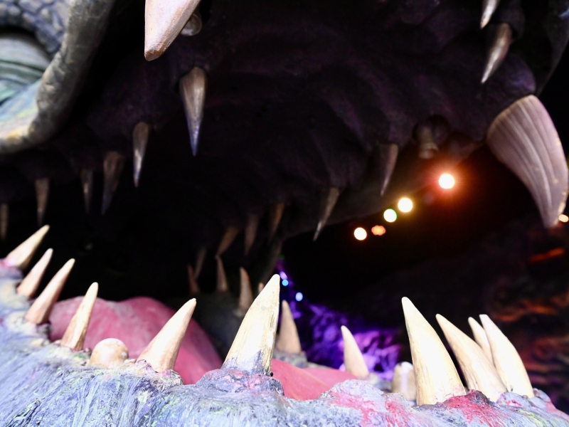 Drache