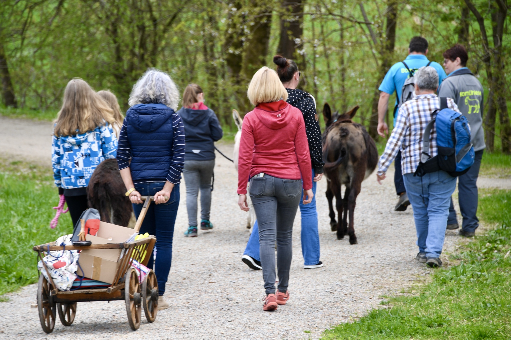 Personen mit Eseln im Freien
