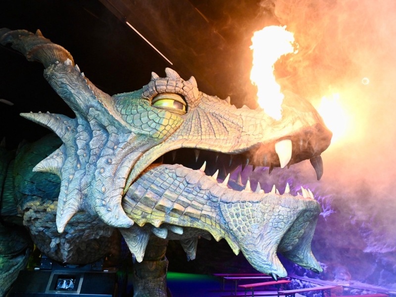 Drache