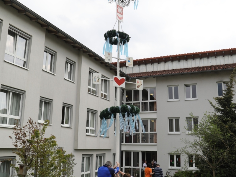 Au&szlig;enaufnahme Baum