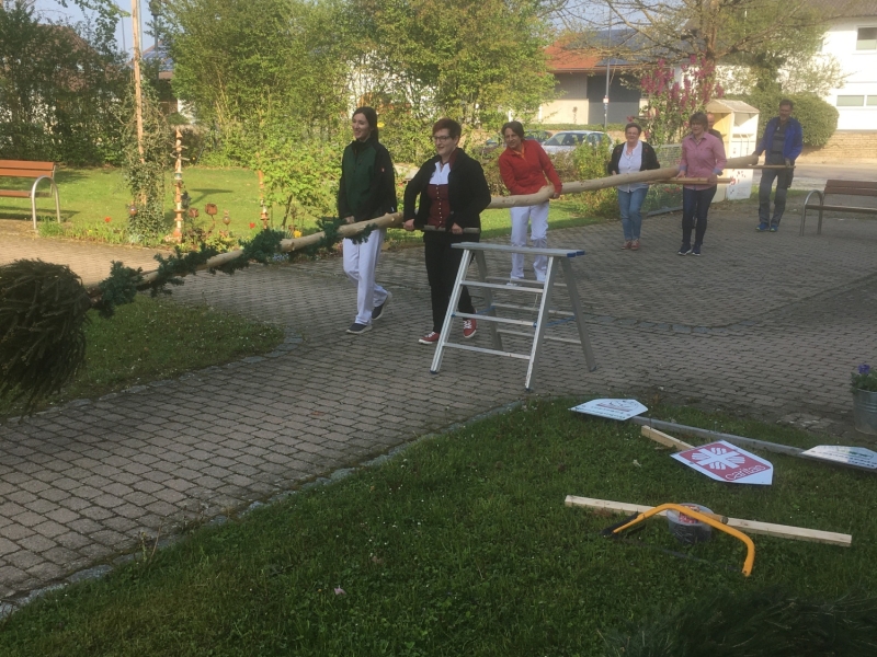 Baum wird aufgestellt