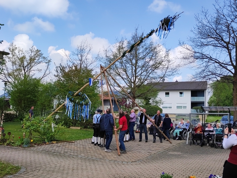 Baum wird aufgestellt