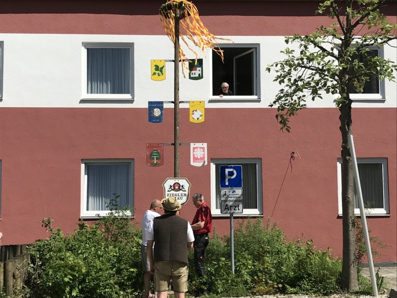 Au&szlig;enaufnahme Baum