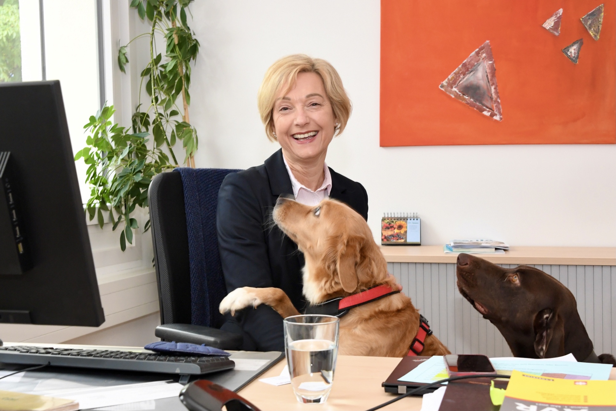 Frau mit Hund im Büro