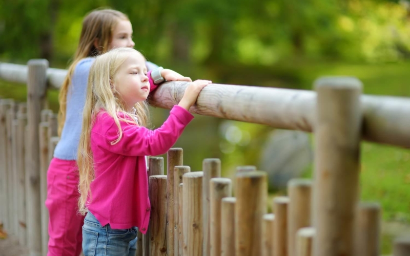 Zwei Kinder an einem Zaun