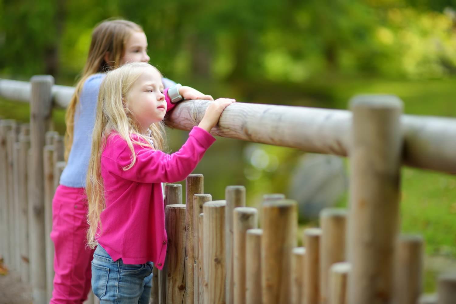 Zwei Kinder an einem Zaun