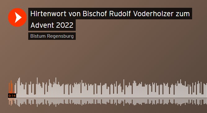 Screenshot von Audiodatei