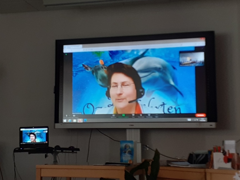 Digitaler Fernseher