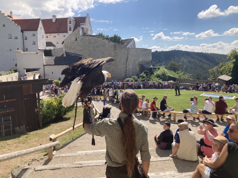 Kinder in der Sonne